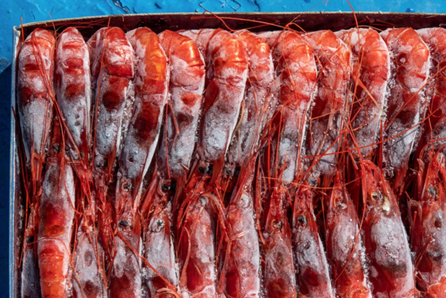 1.852 container tôm Indonesia quay lại thị trường Mỹ sau bê bối nhiễm phóng xạ