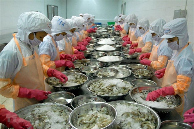 Giá tôm nguyên liệu giảm sâu dù nguồn cung hạn chế