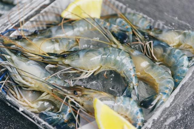 Nhìn lại xuất khẩu thủy sản 10 tháng đạt 9,5 tỷ USD, tôm hùm và cá rô phi là điểm sáng