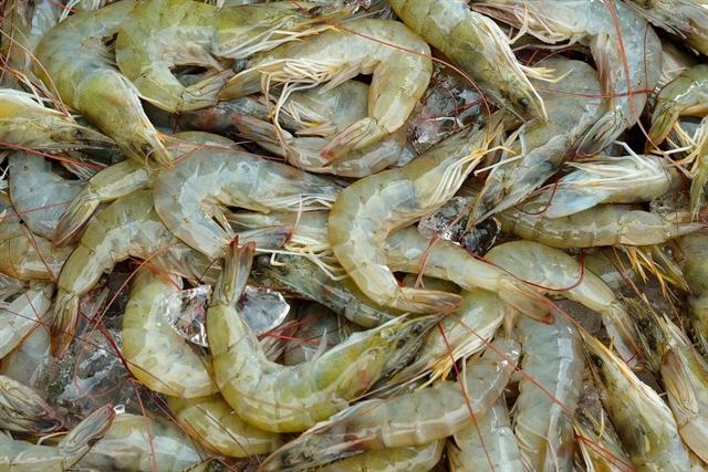 Cuộc đổi ngôi ngoạn mục của các thị trường xuất khẩu thủy sản năm 2025